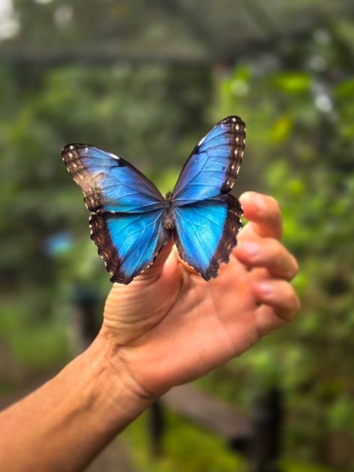 Tours de Flora y Fauna